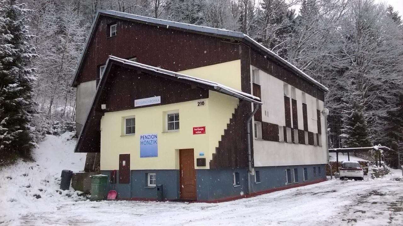 Guest House Honzik Horni Marsov Exterior photo